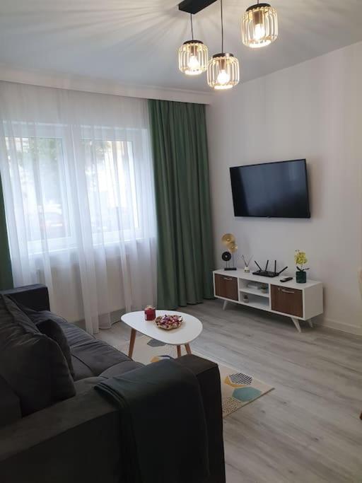 Apartament Ama シビウ エクステリア 写真