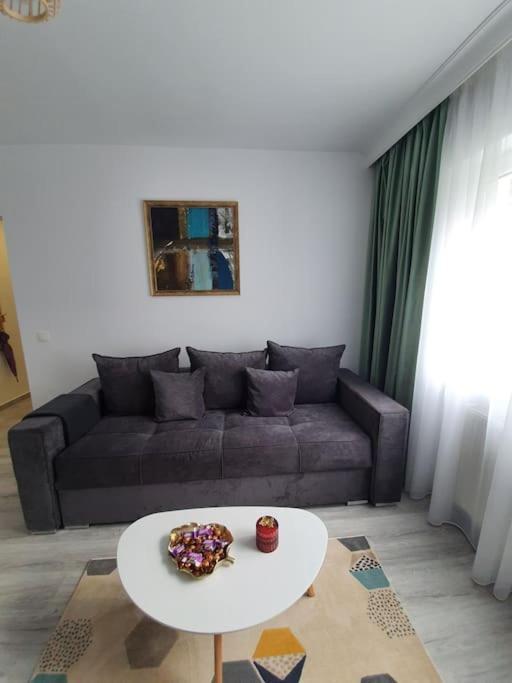 Apartament Ama シビウ エクステリア 写真