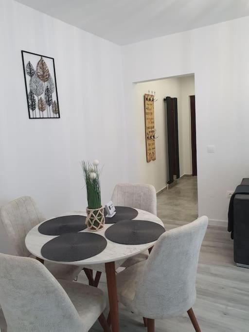 Apartament Ama シビウ エクステリア 写真
