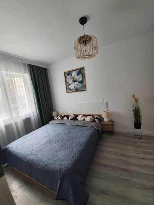 Apartament Ama シビウ エクステリア 写真