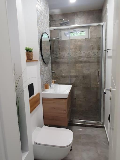 Apartament Ama シビウ エクステリア 写真