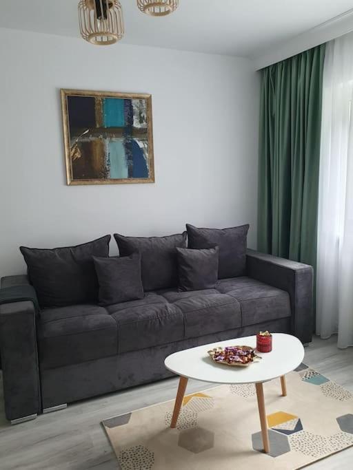 Apartament Ama シビウ エクステリア 写真
