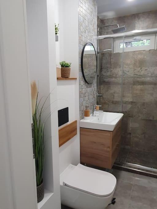 Apartament Ama シビウ エクステリア 写真