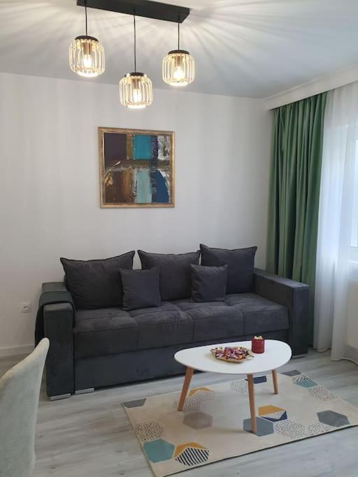 Apartament Ama シビウ エクステリア 写真
