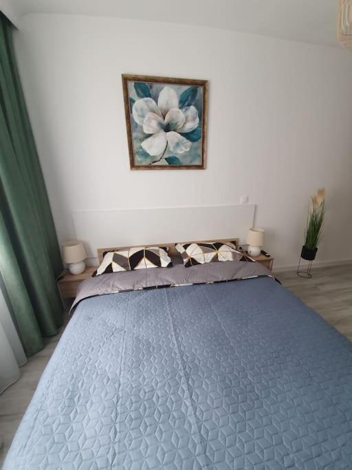 Apartament Ama シビウ エクステリア 写真