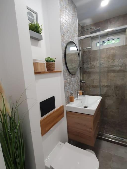 Apartament Ama シビウ エクステリア 写真